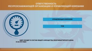 Ответственность РСО и УК