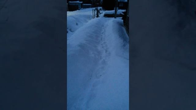 Геотермальное отопление.0.5 киловат в час. Отопление дома тепловым насосом!!!