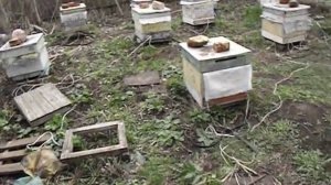 работа на пасеке в мае - установка обогревателей в ульи
