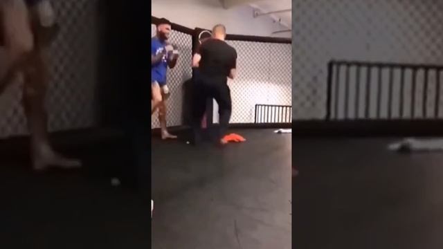 Claude Van Damme Accidentally Kicked Cody Garbrandt In The Face