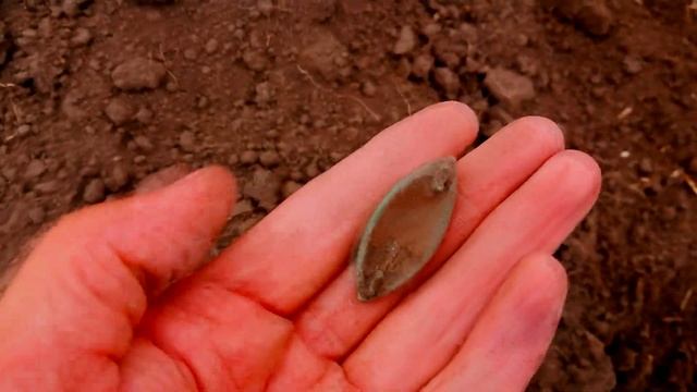 Нашли старый фундамент смотреть онлайн