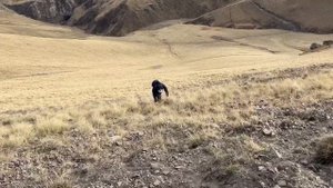 Гора Сирх: восхождение на 3098 м