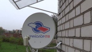 Триколор в дождливую погоду