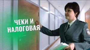 Какой период проверяет налоговая?