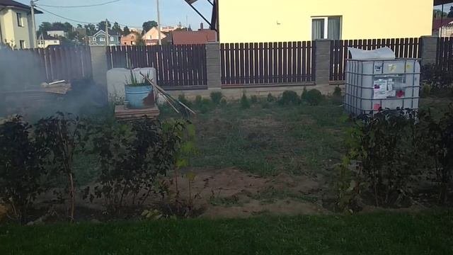 Хочу рокарий из хвойных растений! С чего начать?
