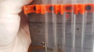 Проверка потери текучести полусинтетического трансмиссионного масла ТАТНЕФТЬ при -39°С