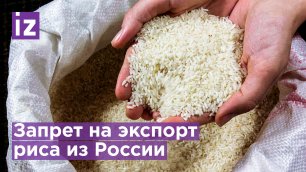 Национальное достояние: вывоз риса из России могут запретить / Известия