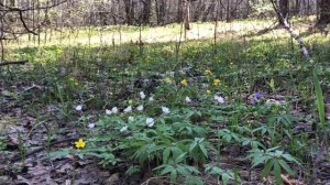 Рыбалка и отдых в Башкирии на р.Белая