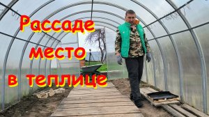 Подкормка рассады ТАБАКА. Рассада потихоньку переселяется В ТЕПЛИЦЫ. Наша жизнь В ДЕРЕВНЕ.