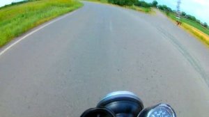 МАКСИМАЛЬНАЯ СКОРОСТЬ ЯВА 350 MAX SPEED JAWA 638