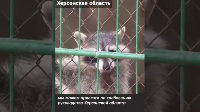 Херсонский зооуголок перевезли в безопасное место в Крым из-за обстрелов ВСУ Каховской ГЭС