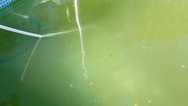 Пылесос для бассейна "на естественной тяге" смотреть онлайн