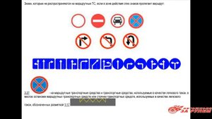 Особенности ПДД для категории D