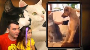 СМОТРИ САМЫЕ СМЕШНЫЕ 😻КОТЫ и 🐶СОБАКИ! НЕ ЗАСМЕЙСЯ ЧЕЛЛЕНДЖ! Funny Cats Попробуй смеяться Валеришка