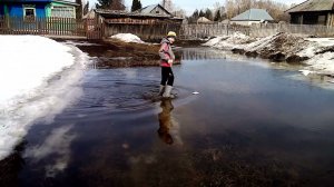 Белые кораблики