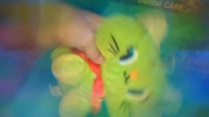 Что нужно брать реборну на прогулку?