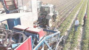 Морковоуборочный комбайн Asa-Lift - секрет эффективной и бережной уборки моркови