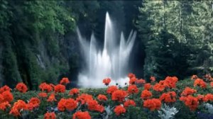 Медитация на раскрытие Свадхистаны Чакры