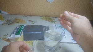 Как Вырастить Венерину Мухоловку (Дионея) из семян