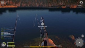 Палия обыкновенная - озеро Куори - РР4┃maXS1k