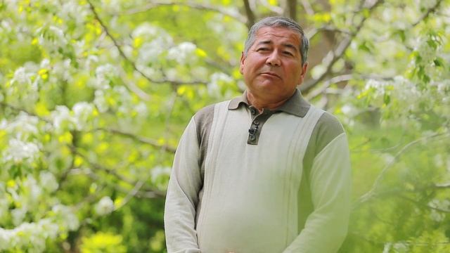 Бугенвиллея / Bougainvillea смотреть онлайн