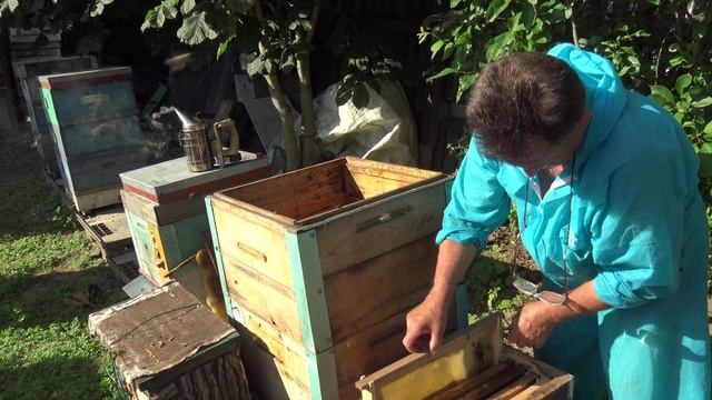 Объединение роев из ловушек смотреть онлайн