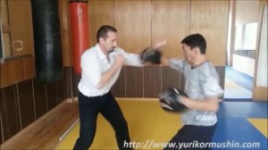 Extreme Fight System Юрия Кормушина