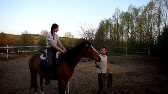 КАК МЫ ОБЪЕЗЖАЕМ ЛОШАДЕЙ смотреть онлайн