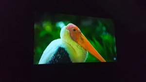 Projetor Sanyo PLV-Z700 01/08/23