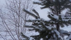 Ski Doo Summit X163 800 E TEC