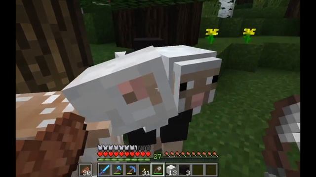 Minecraft 1.11.2 Survival Let's Play: E.4 Random Jobs смотреть онлайн