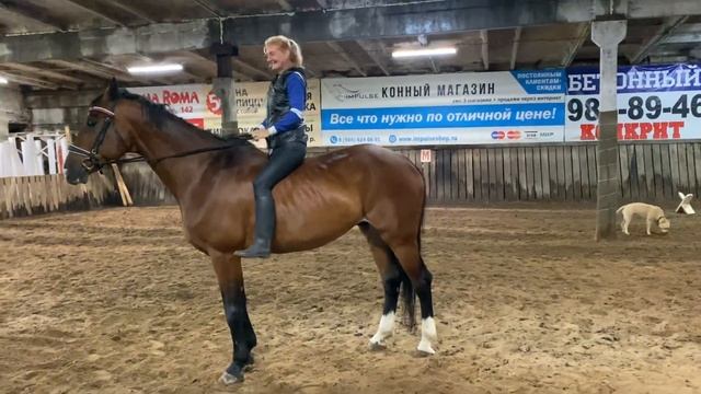 Как запрыгнуть на лошадь!)))? Прикол) смотреть онлайн