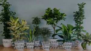 Циркон удобрение инструкция к применению