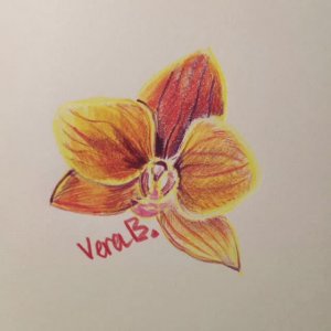 Орхидея цветными карандашами || Sketching