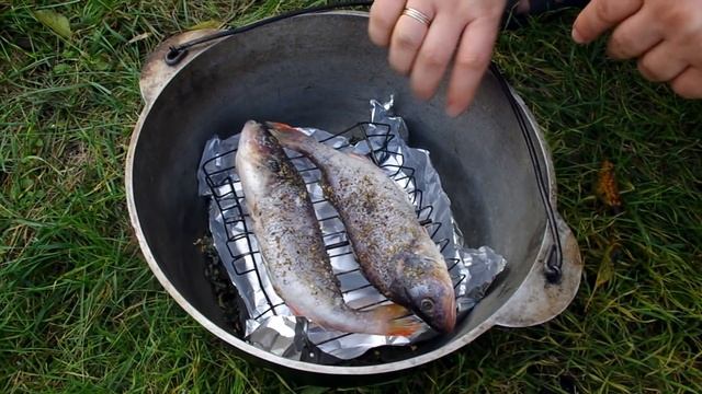 Копченый окунь в казане / Smoked perch in a cauldron