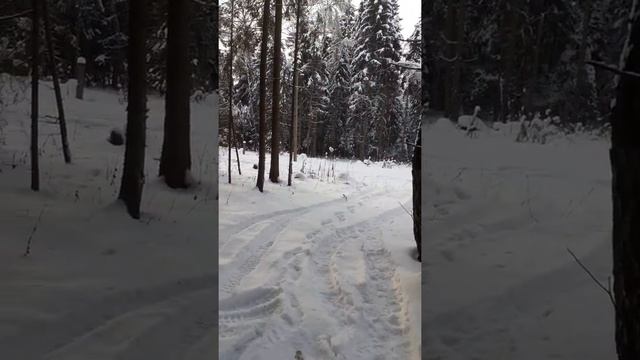 Инженерные изыскания в Московской области