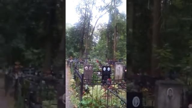 Павлово Посадское центральное городское кладбище смотреть онлайн