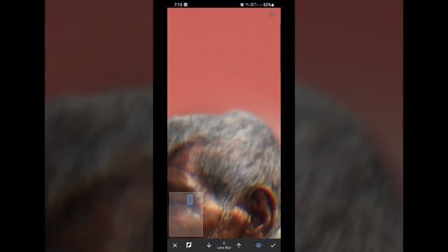 How to Remove Chromatic Aberration using Snapseed ? смотреть онлайн