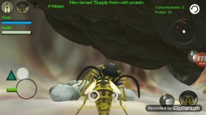 Симулятор ос