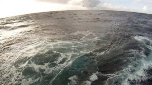 Барк "Седов" HD