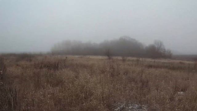 Придорожный заяц! Охота ноябрь 2021 смотреть онлайн