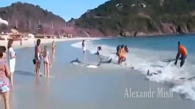 Мои дети будут расти на таких видео_ смотреть онлайн