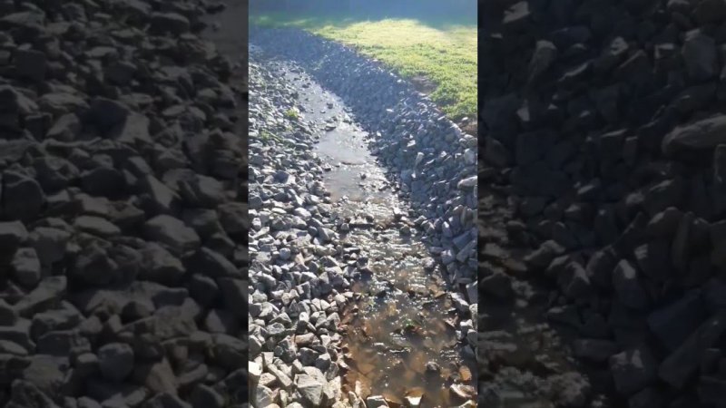 Скоро за окнами всей страны