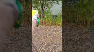 готовлю землю под картофель