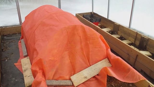 Укрытия роз.Гортензии в грунте, горшках, теплице.Сезон закрыт 17.11.23 смотреть онлайн