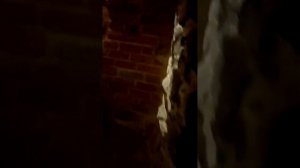 Выборг.Дом наместника.