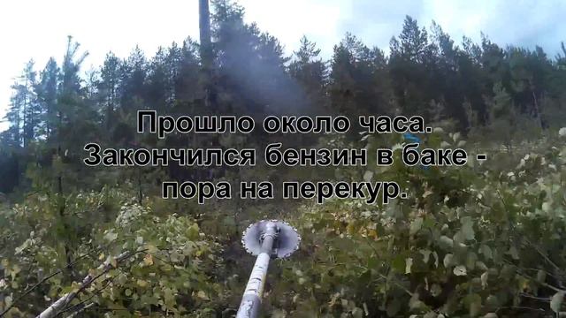 Рубка ухода. Осветление. смотреть онлайн