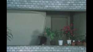 太陽にほえろ! 第418話 ルポライター