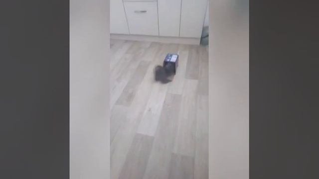 Подарочек