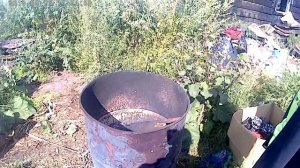 НОВОАЛЕКСАНДРОВКА и ее жители )